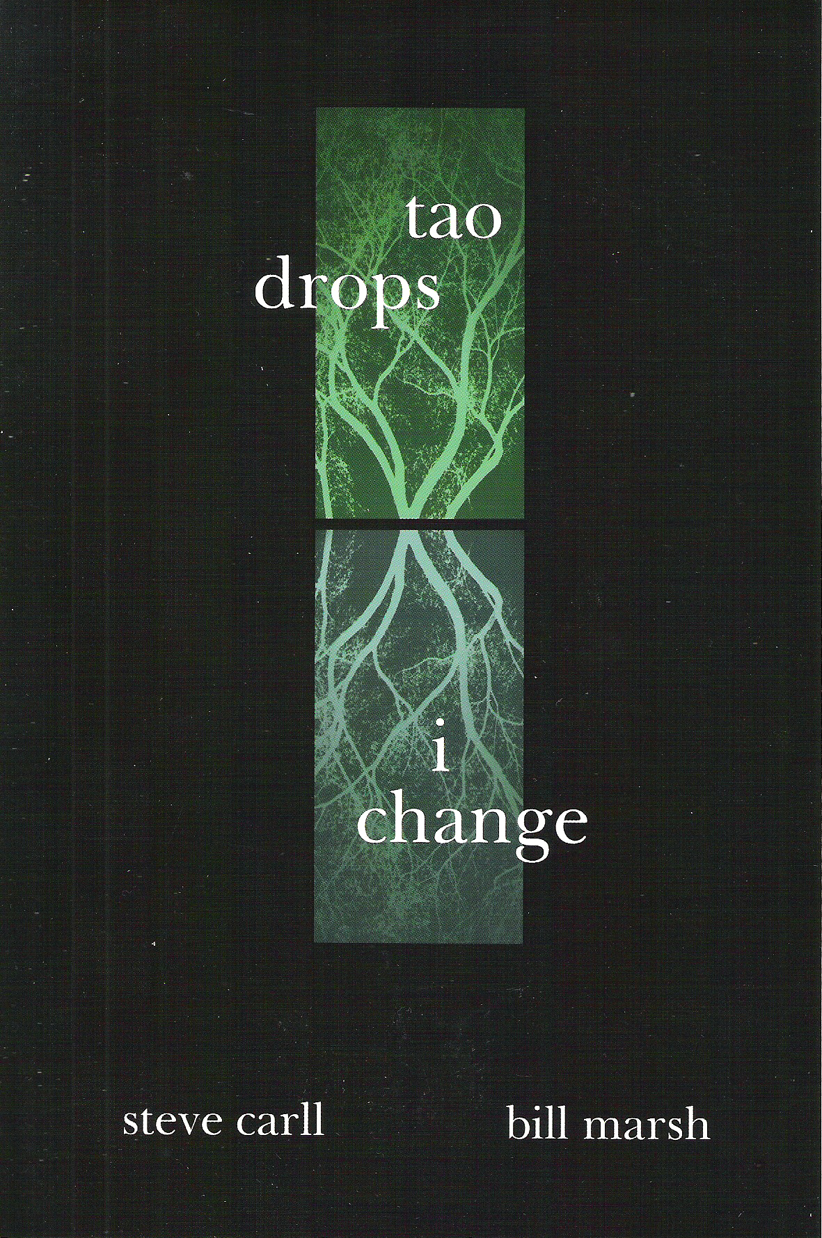 Tao Drops, I Change by Steve Carll and Bill Marsh